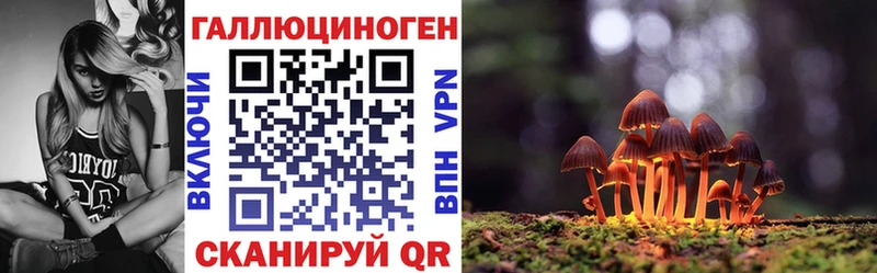 Псилоцибиновые грибы Psilocybe Юрьевец